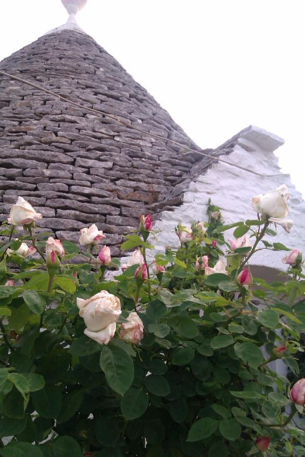 Trulli La Casa Di Rosa Bed & Breakfast Alberobello Exterior photo