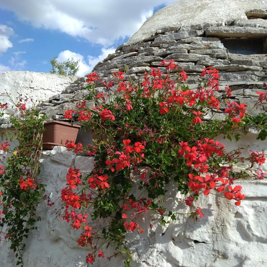 Trulli La Casa Di Rosa Bed & Breakfast Alberobello Exterior photo