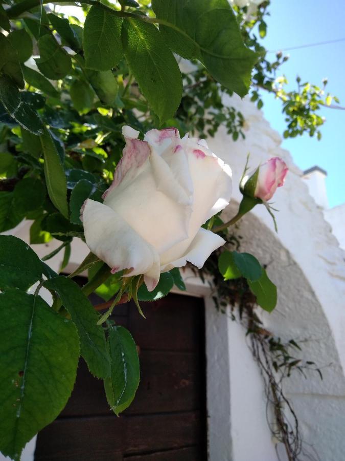 Trulli La Casa Di Rosa Bed & Breakfast Alberobello Exterior photo