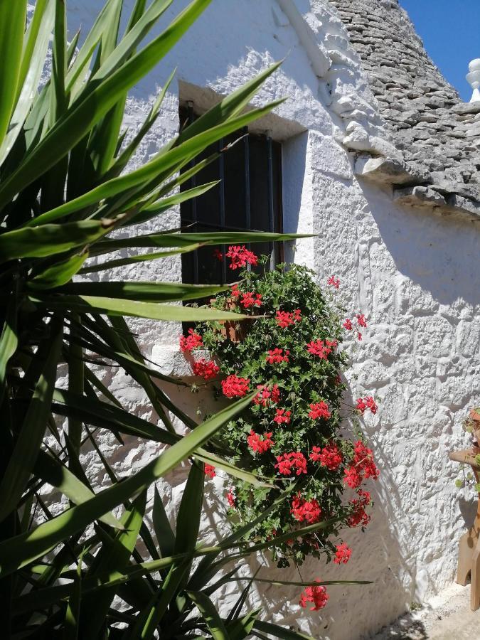 Trulli La Casa Di Rosa Bed & Breakfast Alberobello Exterior photo