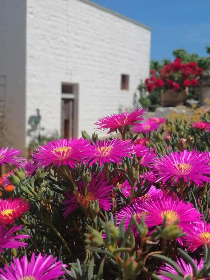 Trulli La Casa Di Rosa Bed & Breakfast Alberobello Exterior photo