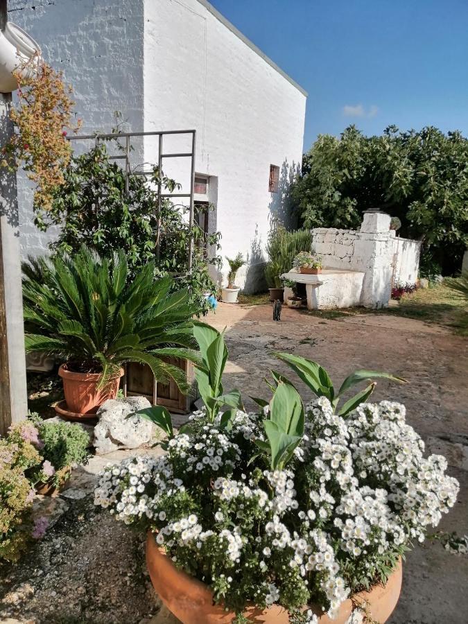 Trulli La Casa Di Rosa Bed & Breakfast Alberobello Exterior photo